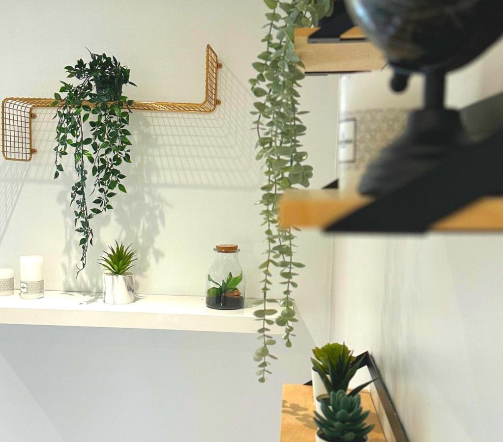 Apartmán L'Oasis Cosy Villeurbanne Exteriér fotografie