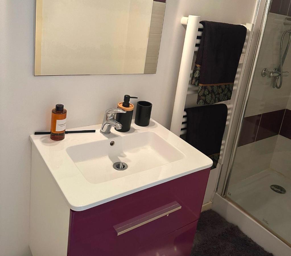 Apartmán L'Oasis Cosy Villeurbanne Exteriér fotografie