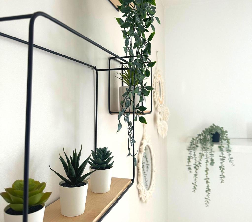 Apartmán L'Oasis Cosy Villeurbanne Exteriér fotografie